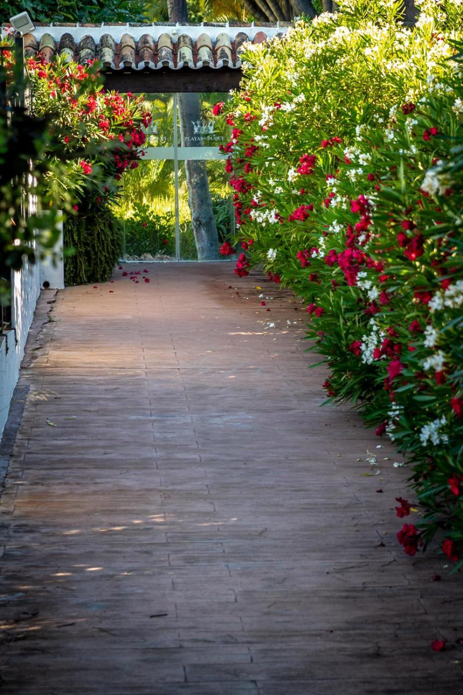 Marbella Banus Suites - Lily Playas Del Duque Banus Beach Apartment Buitenkant foto